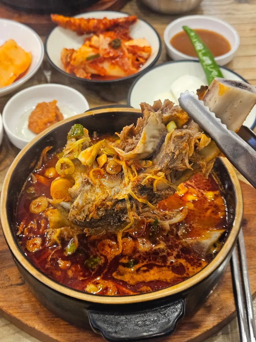 Rib bones and ingredients in spicy galbitang