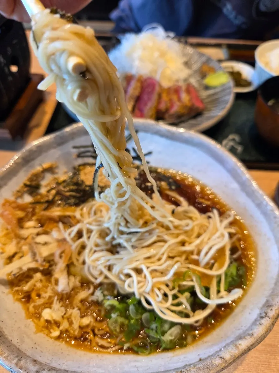 Lifting up springy cold ramen noodles