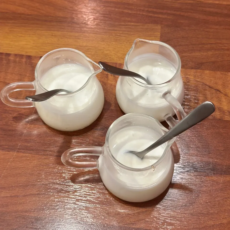 Homemade yogurt served before the meal at HOKATSU