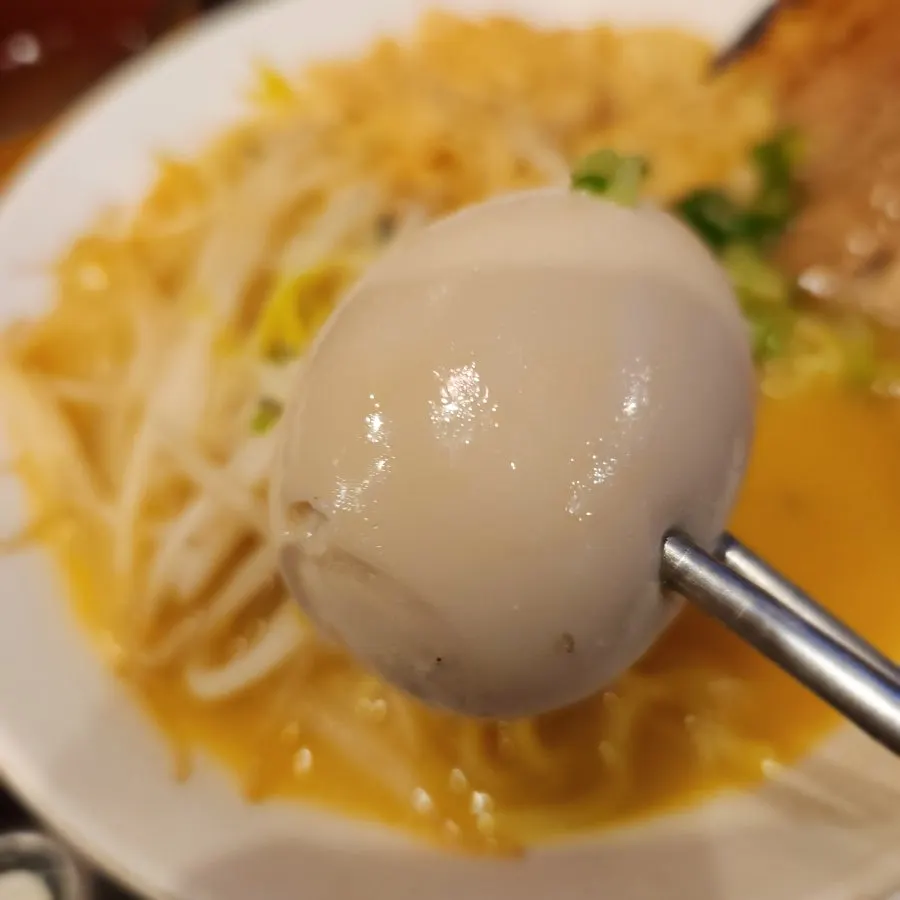 Lifting noodles from the tonkotsu ramen