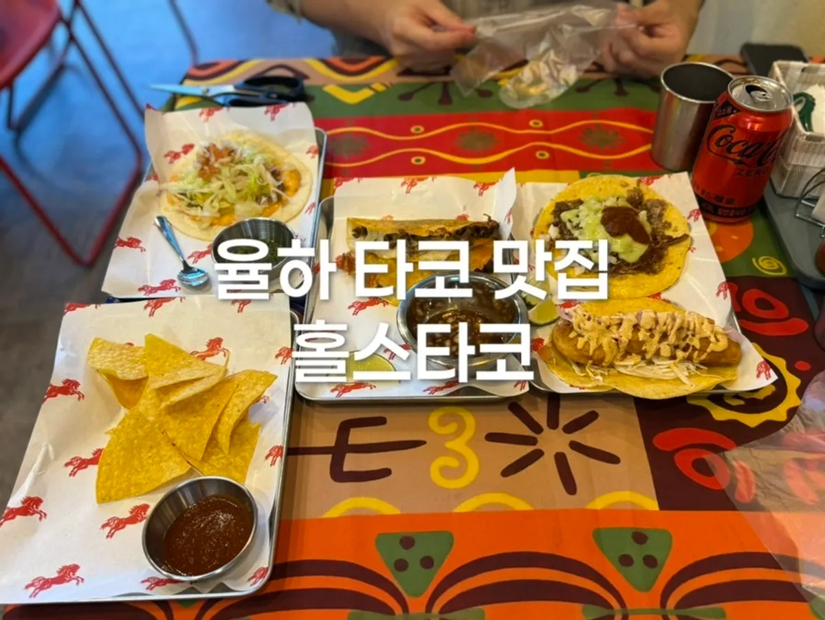 김해 율하 홀스타코 대표 사진