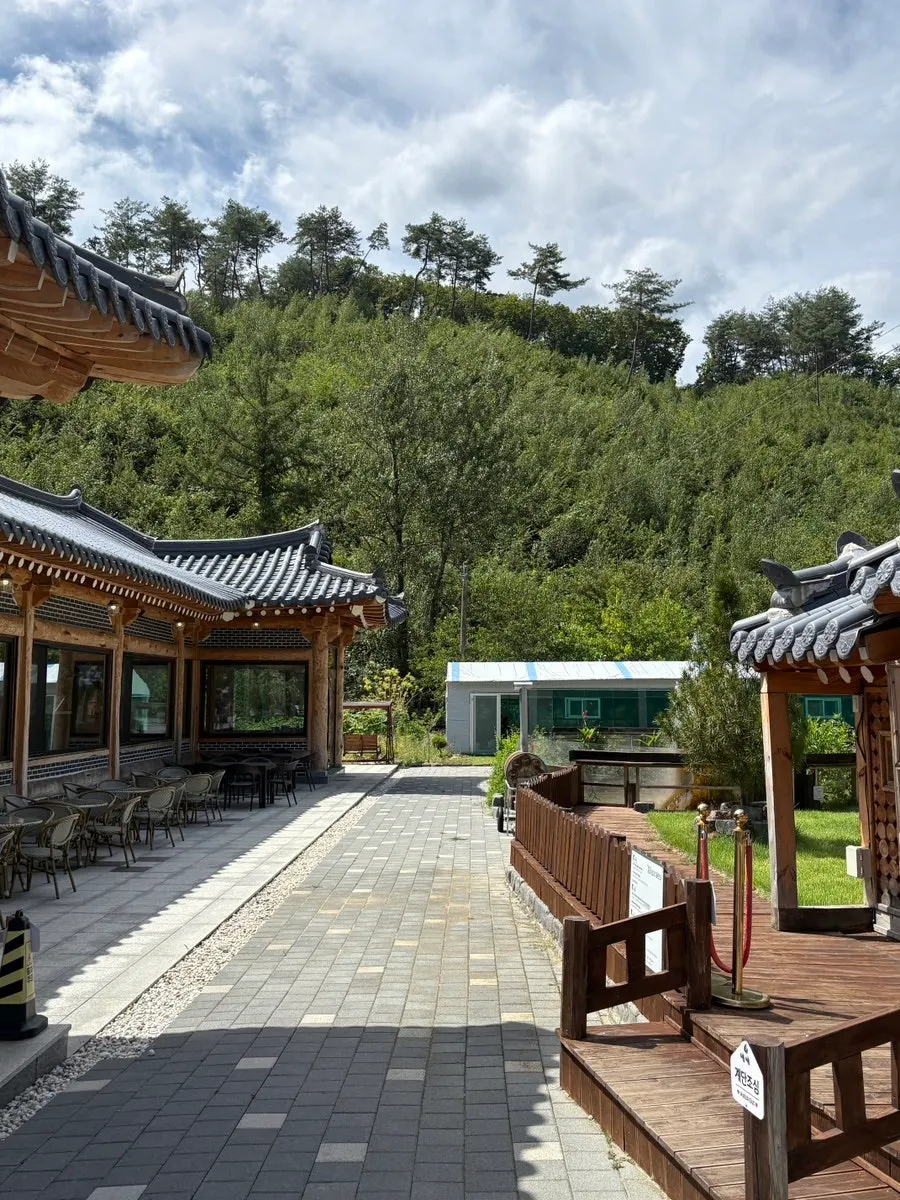 View of the café grounds where the main hanok building meets nature