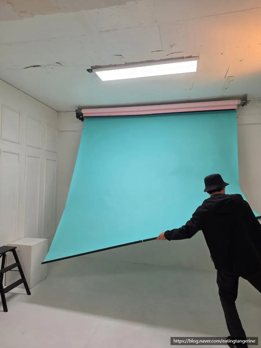 Light pink and mint colored backdrops