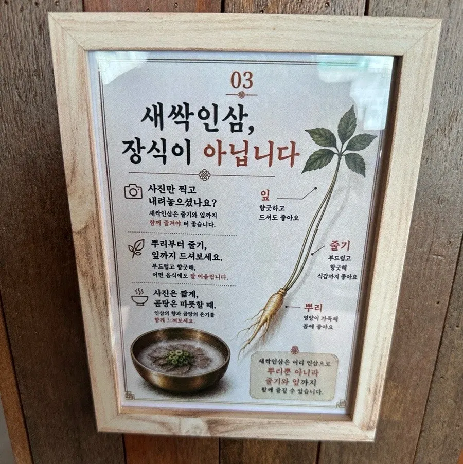Sign explaining sprout ginseng