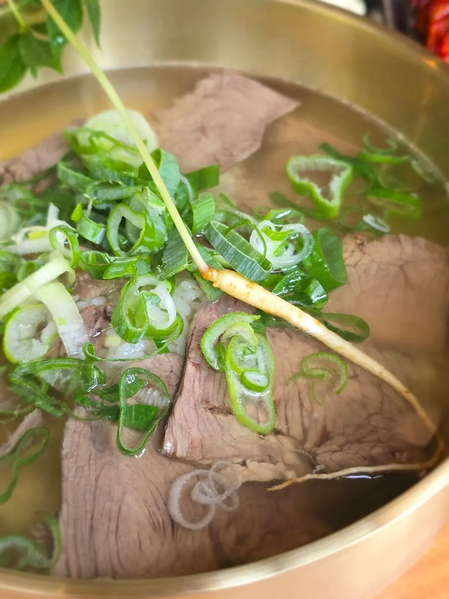 Beef gomtang topped with green onions and sprout ginseng