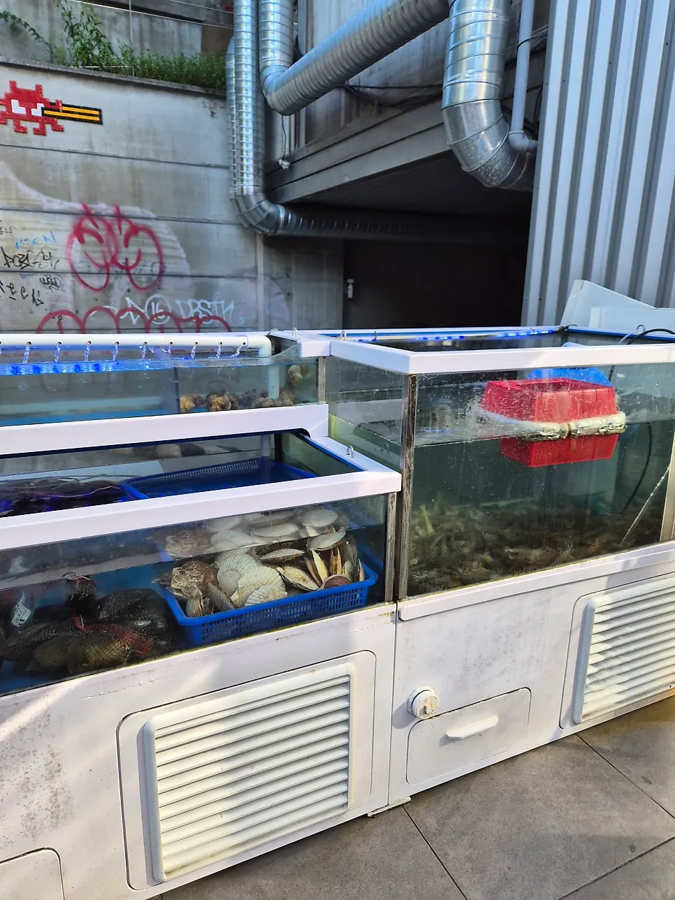 Seafood inside the tank