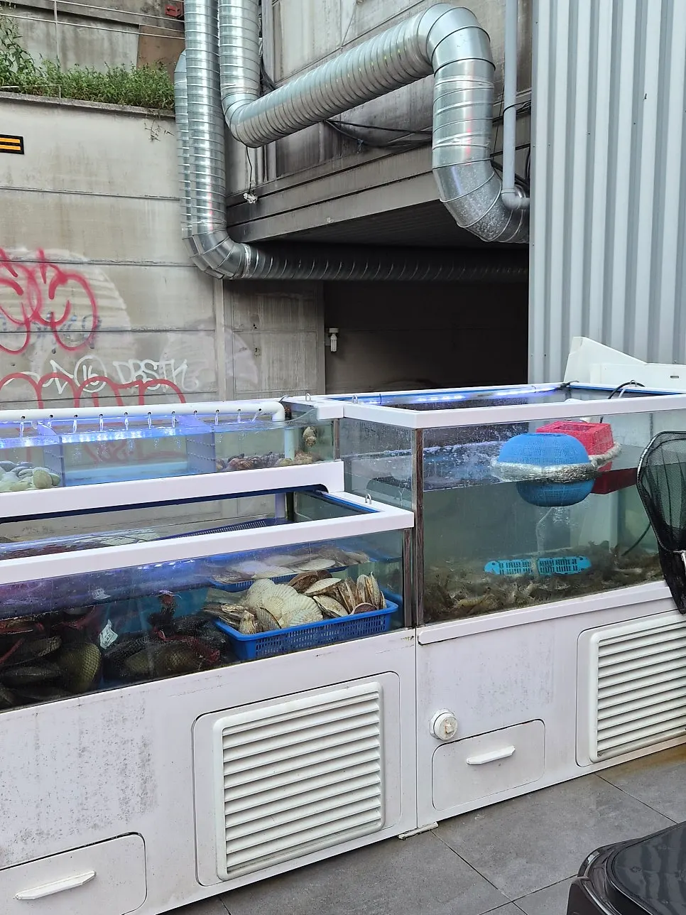 Live shrimp and seafood in the tank