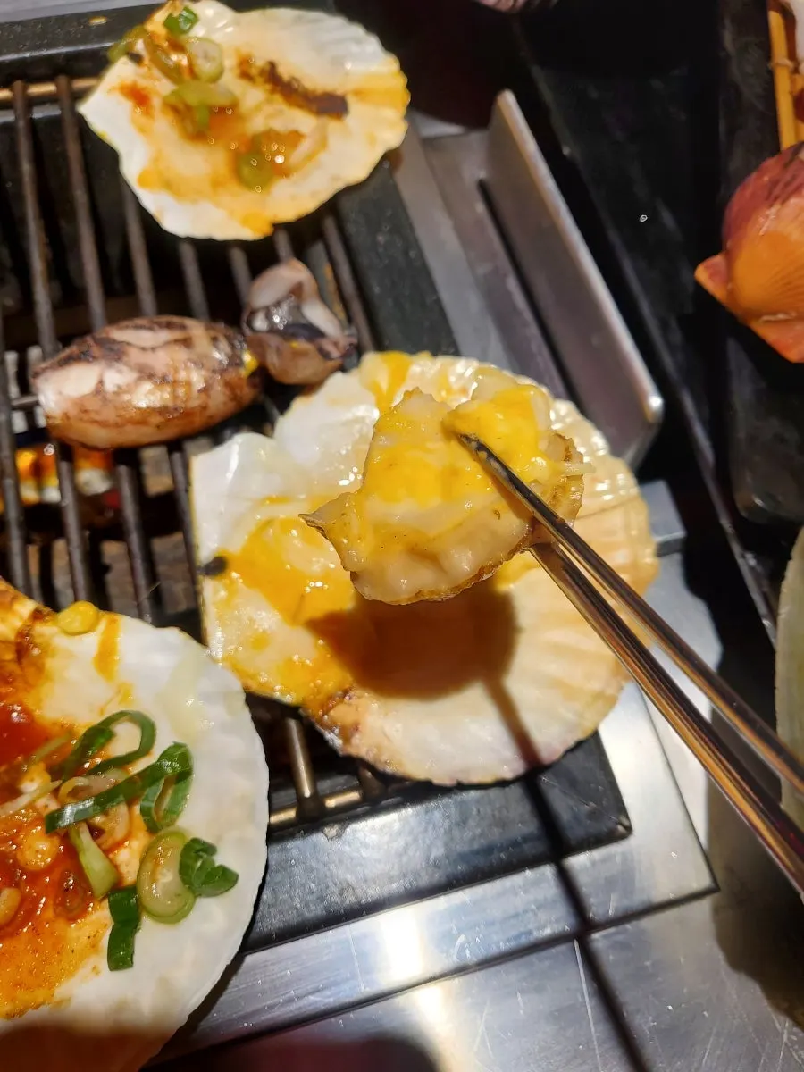 관자 접시 근접 사진