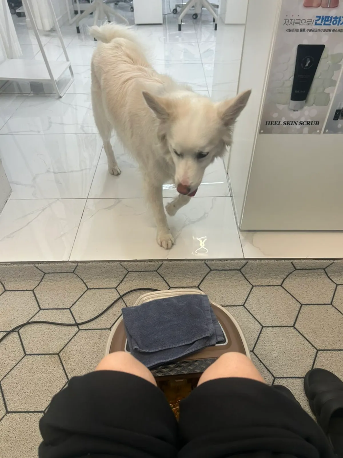 뷰아즈 홍대 족욕 중인 발 모습