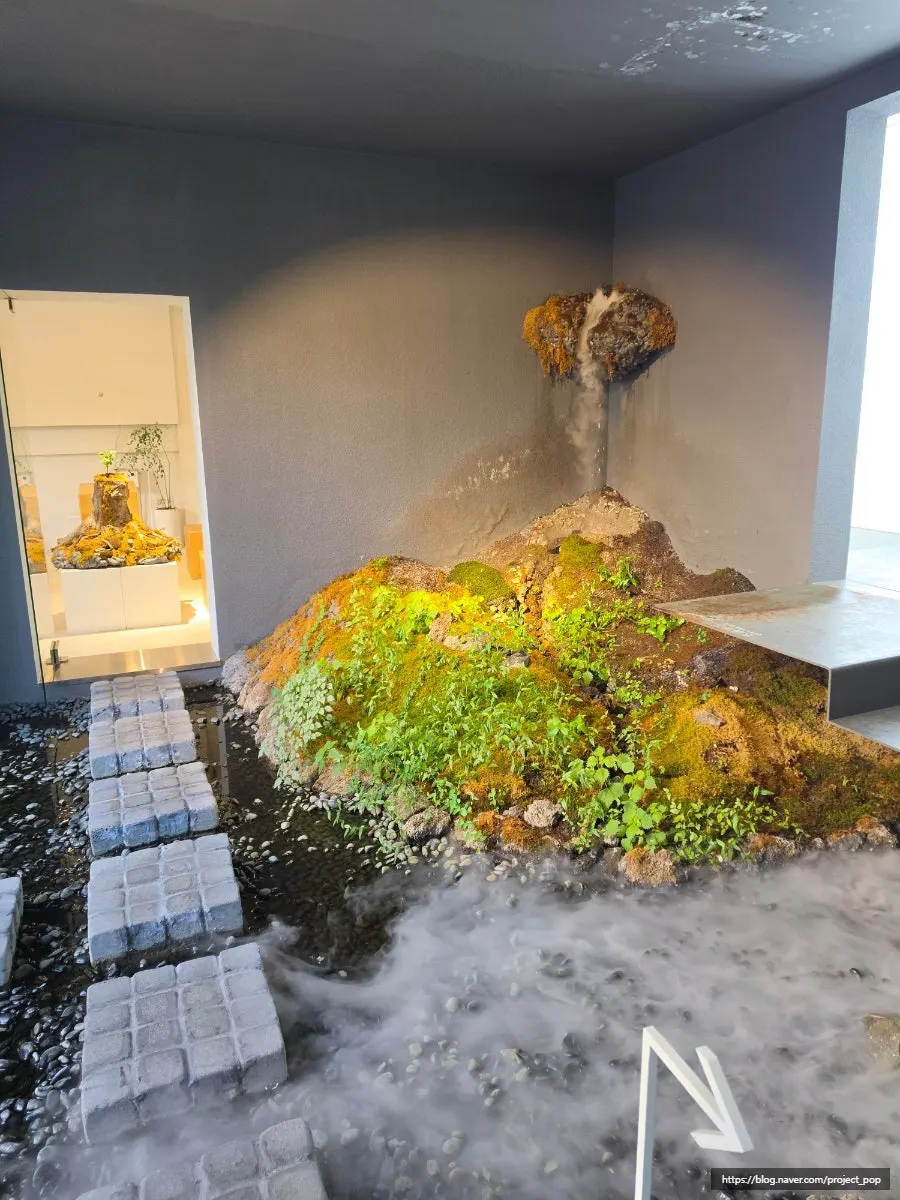 Café space inspired by Little Forest