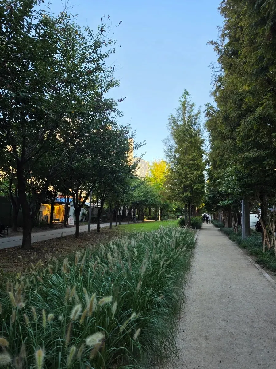 Outdoor terrace seating next to the forest path