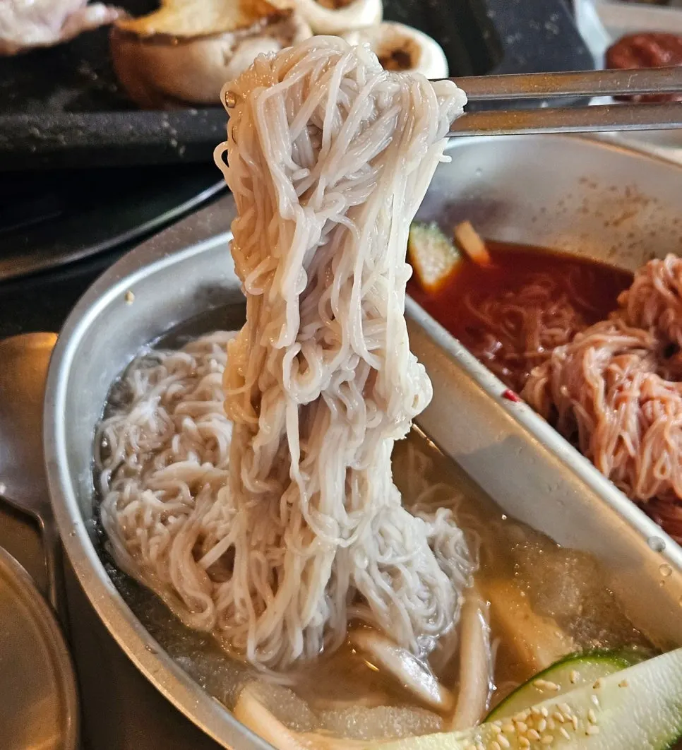 Mul-naengmyeon with icy slush and julienned radish