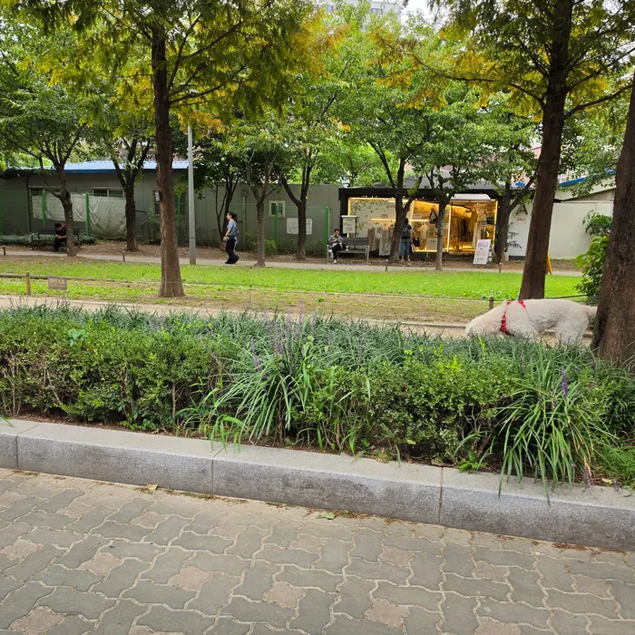 View of Gyeongui Line Forest Park from the table