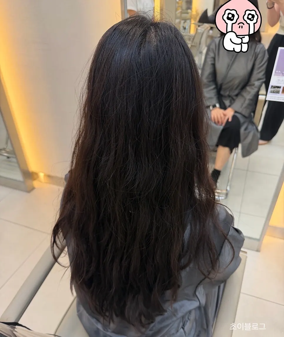 커트 전 길고 부스스한 파마 긴머리 상태