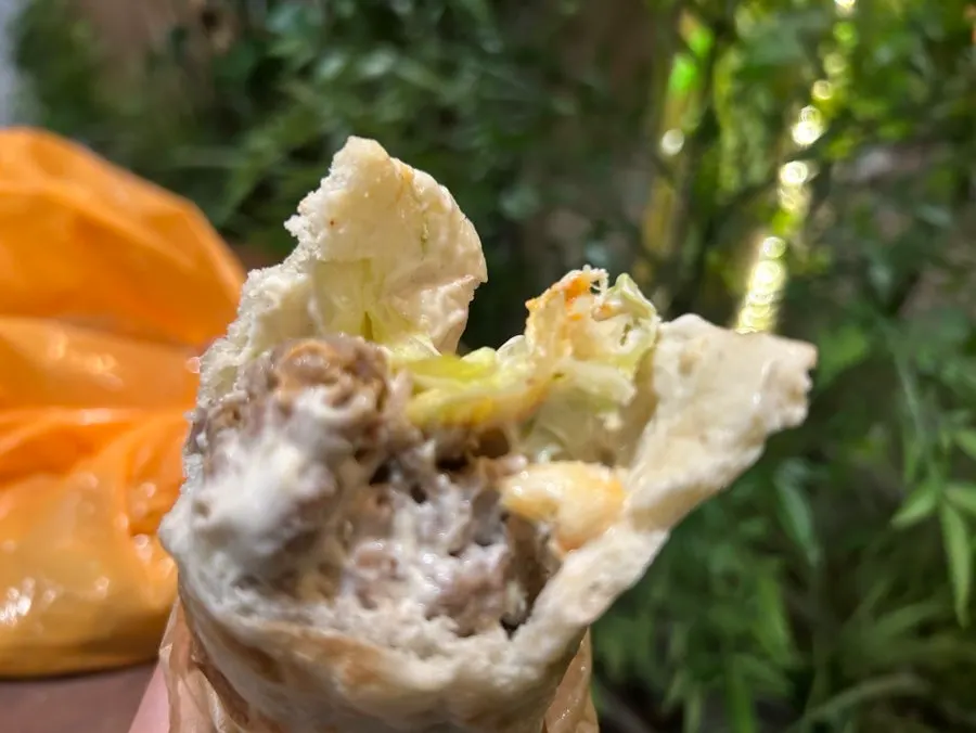 Gyro sandwich with meat and vegetables