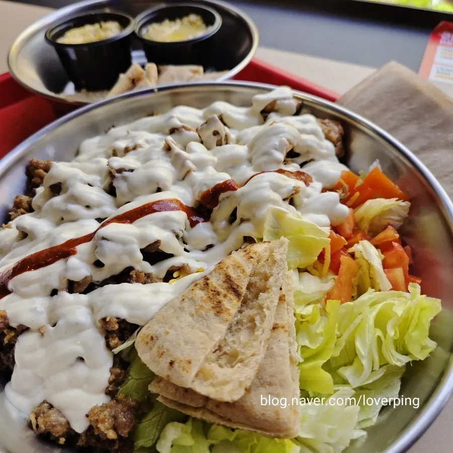 New York-size combo platter with extra hummus and bread