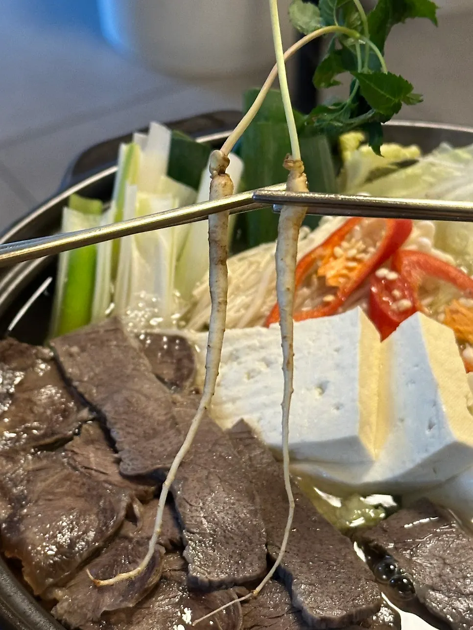 Small ginseng roots on top of the hanwoo beef hot pot