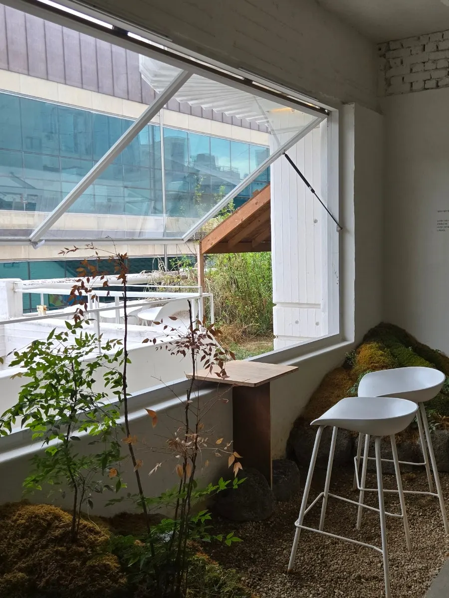 Terrace area of the café filled with plants