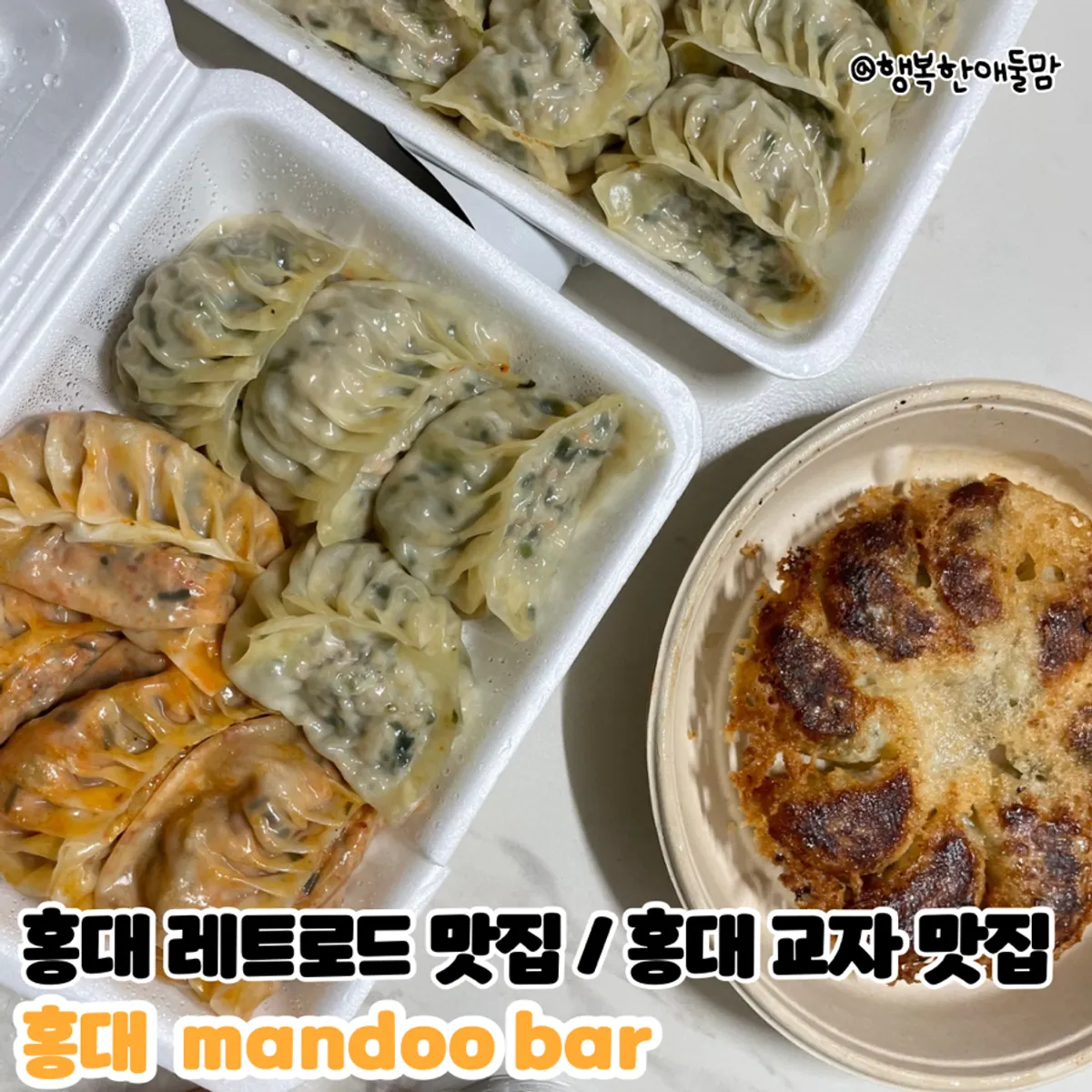 Dumplings taken home from MANDOO BAR in Hongdae