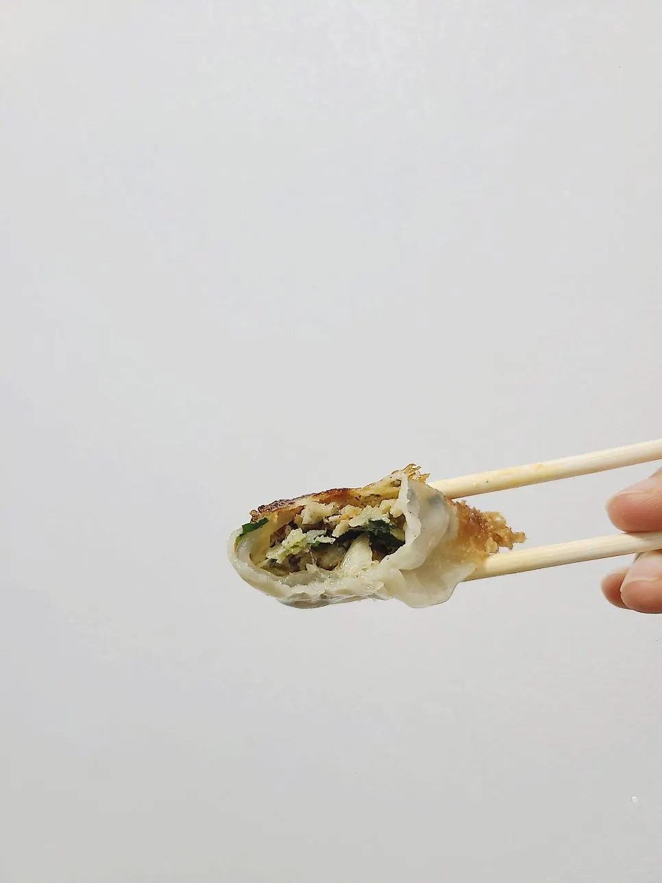 기본 교자 바삭한 겉면