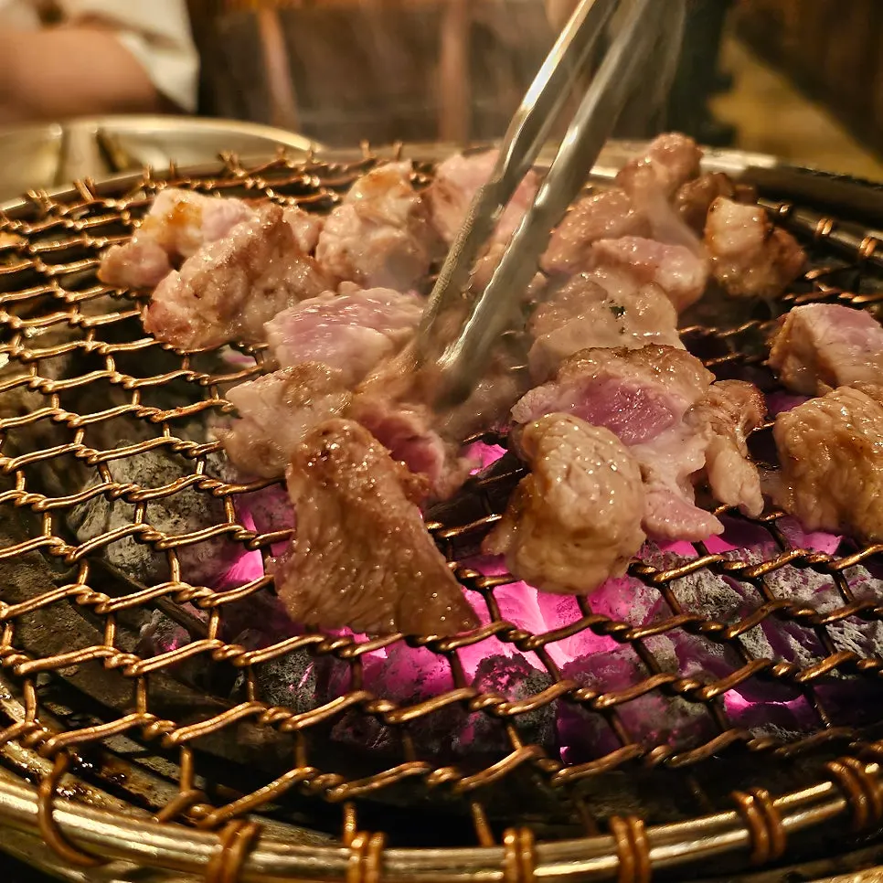 Close-up of a grilled piece of meat