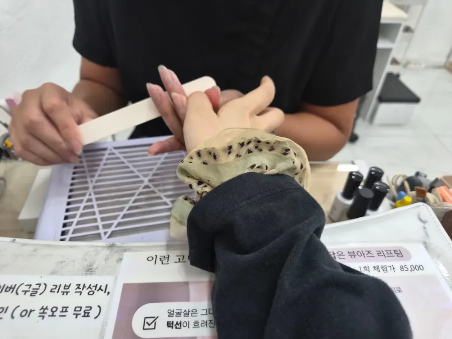 선택한 갈색 계열 가을 이달의 아트