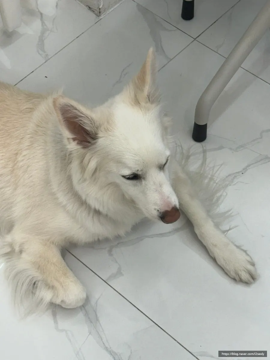 네일 컬러를 많이 보유한 매장 한편