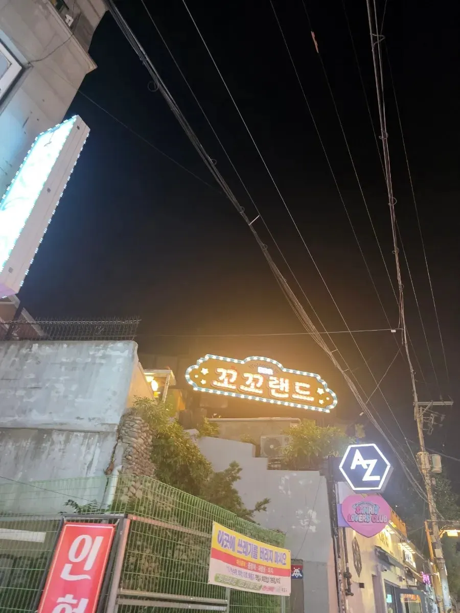홍대 꼬꼬랜드 방문 안내