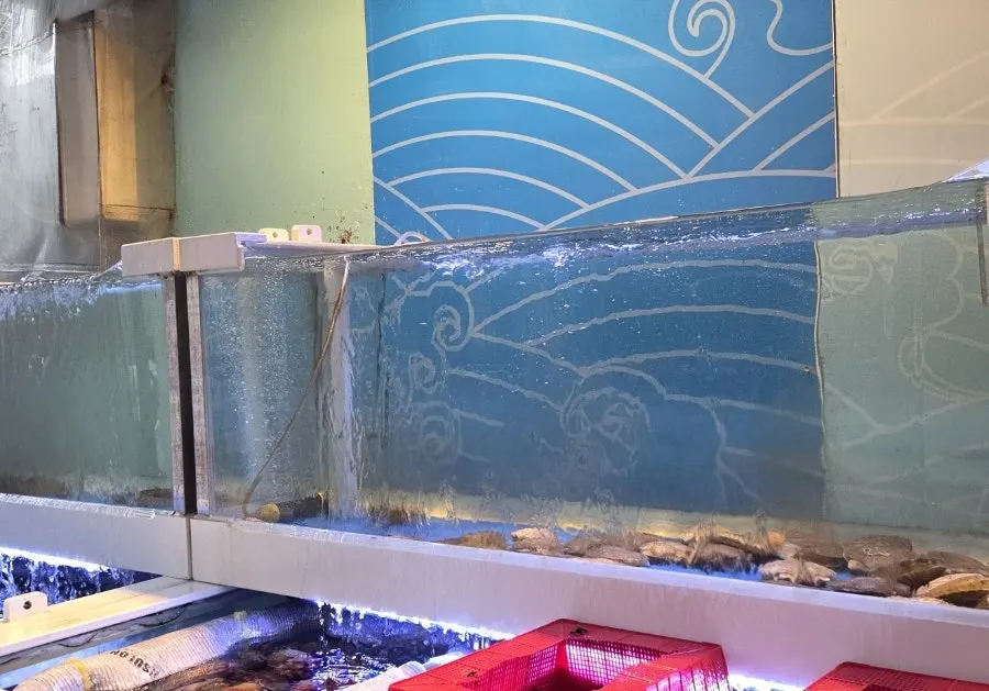Overview of the dining hall tables at Eosa Chulto Hongdae Branch