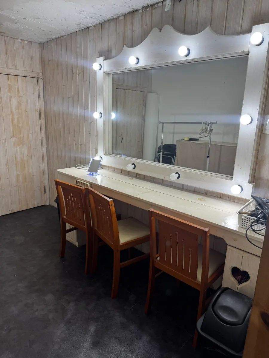 Powder room with hair dryer and flat iron