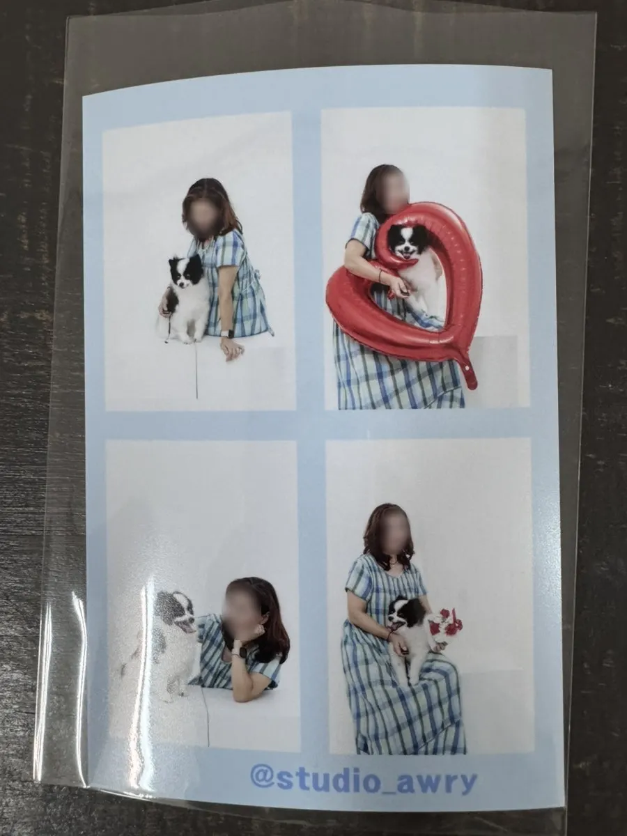 Large printed photo with the dog against a white background