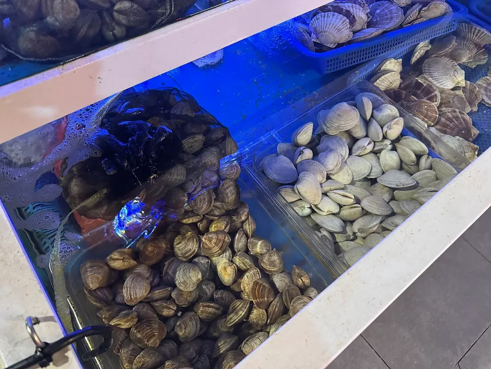 Clear seafood tank for clams