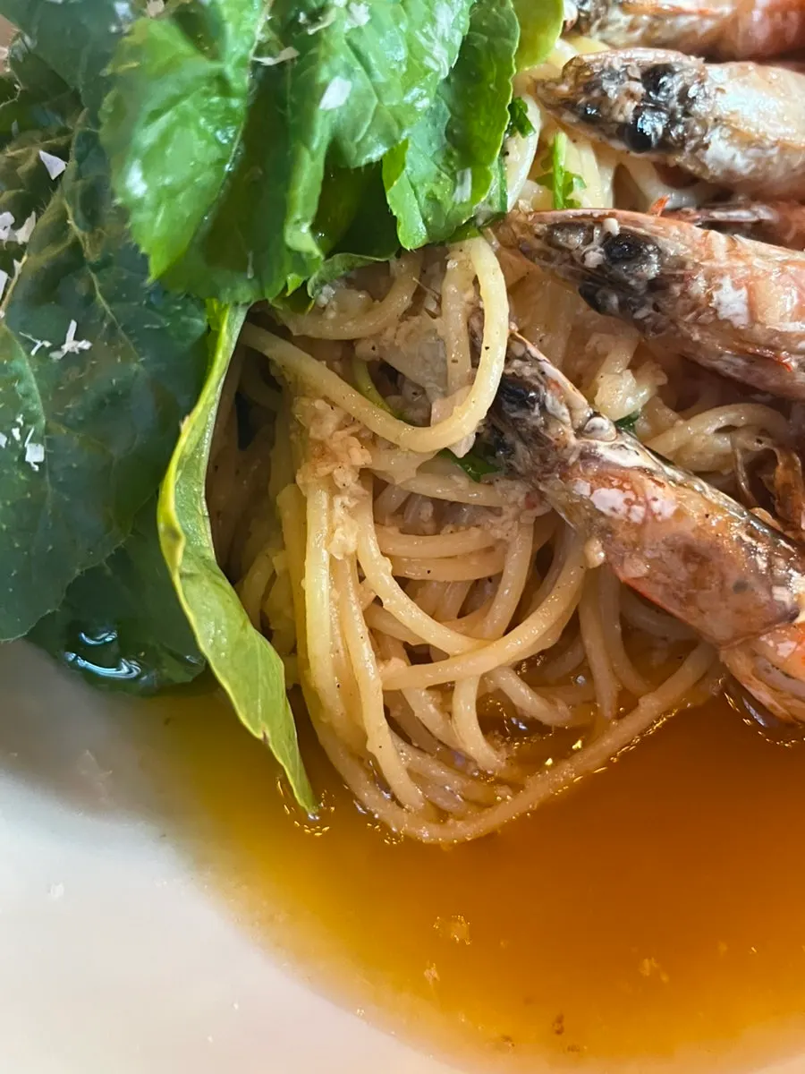 Pasta noodles lifted up on a fork
