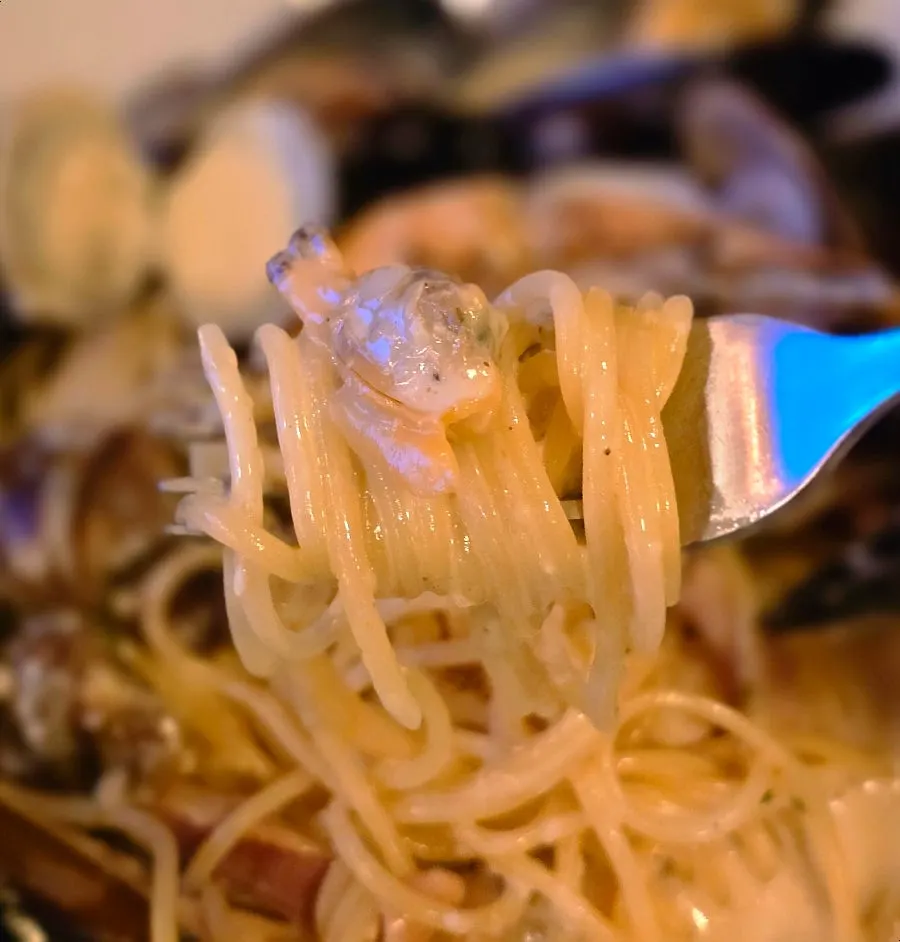 Pasta noodles coated in thick cream sauce
