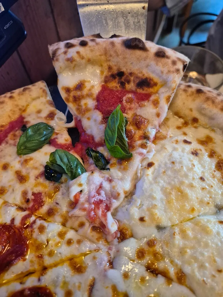 Wood-fired pizza divided into four flavors