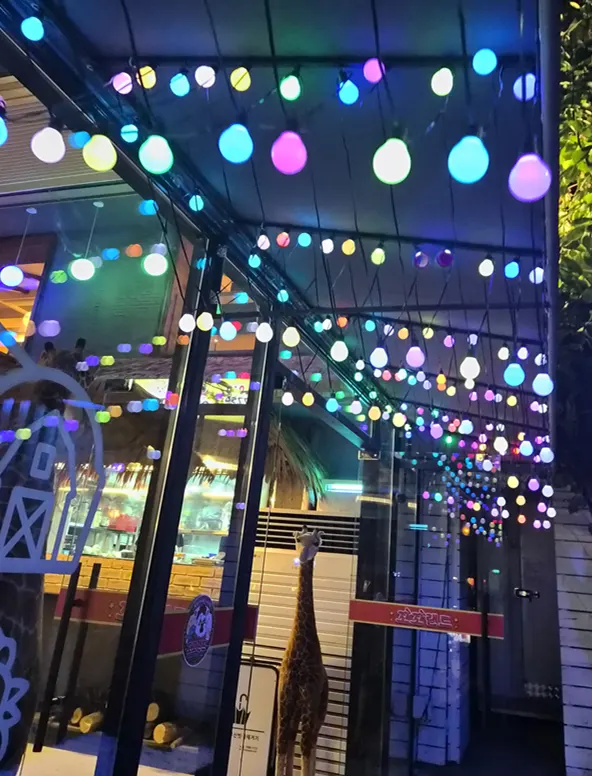 홍대 야장 술집 꼬꼬랜드 입구 전경