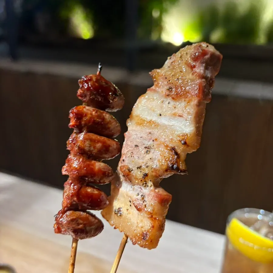 Close-up of charcoal chicken skewers with varied textures by cut