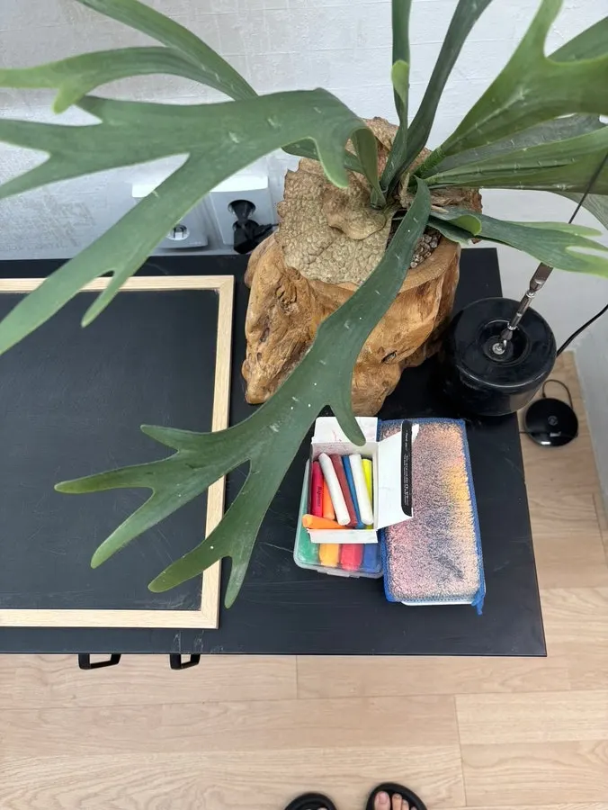 Props for a studio photo shoot