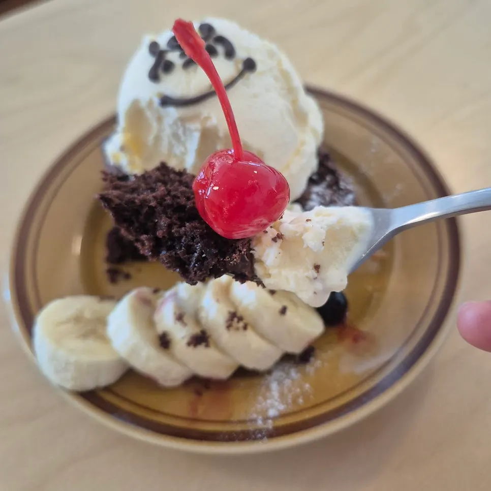 Cross-section of the fudgy brownie with chocolate chips