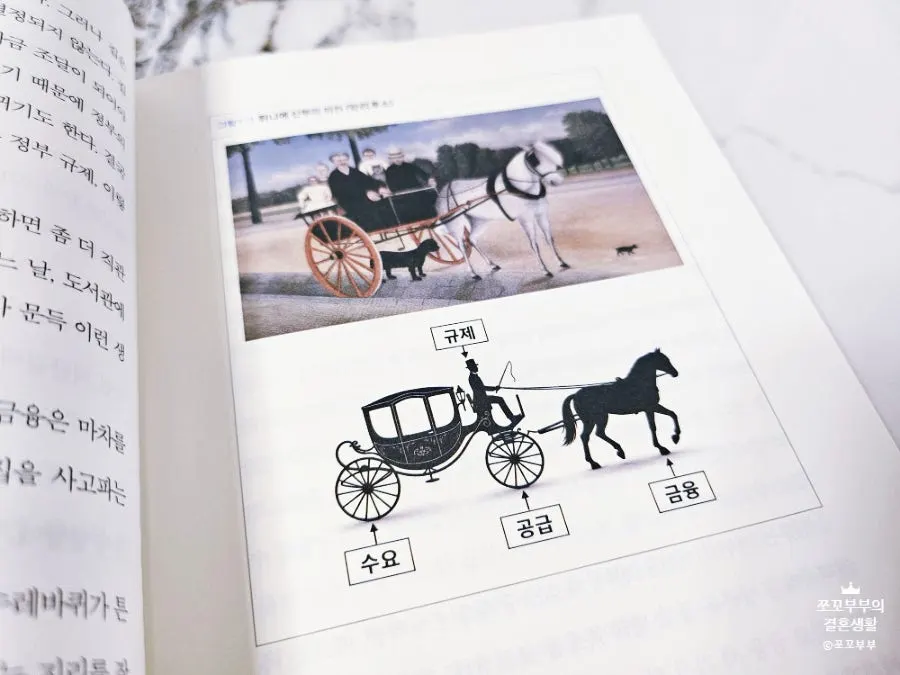 Page containing the carriage theory metaphor in The Law of Housing Prices