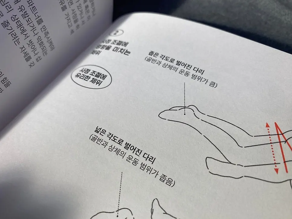 회음부 근육과 운동 설명
