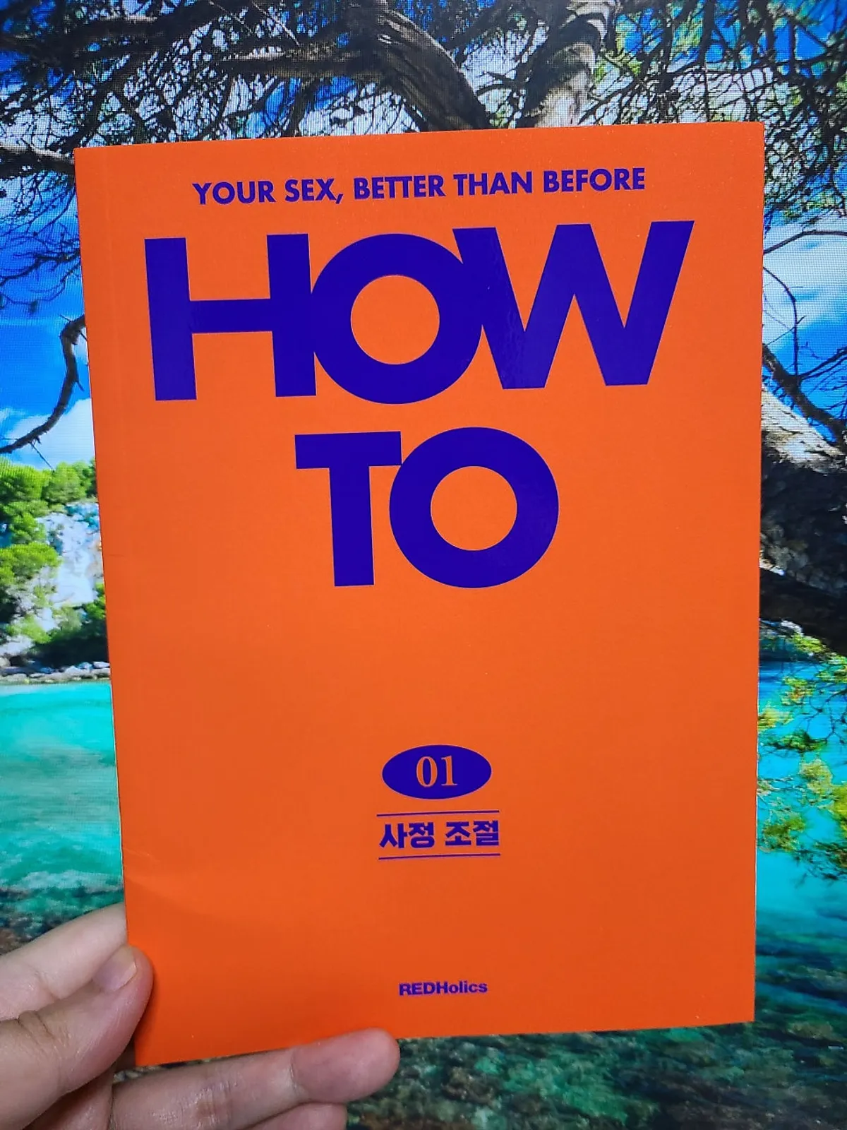 How To 사정 조절 책 표지