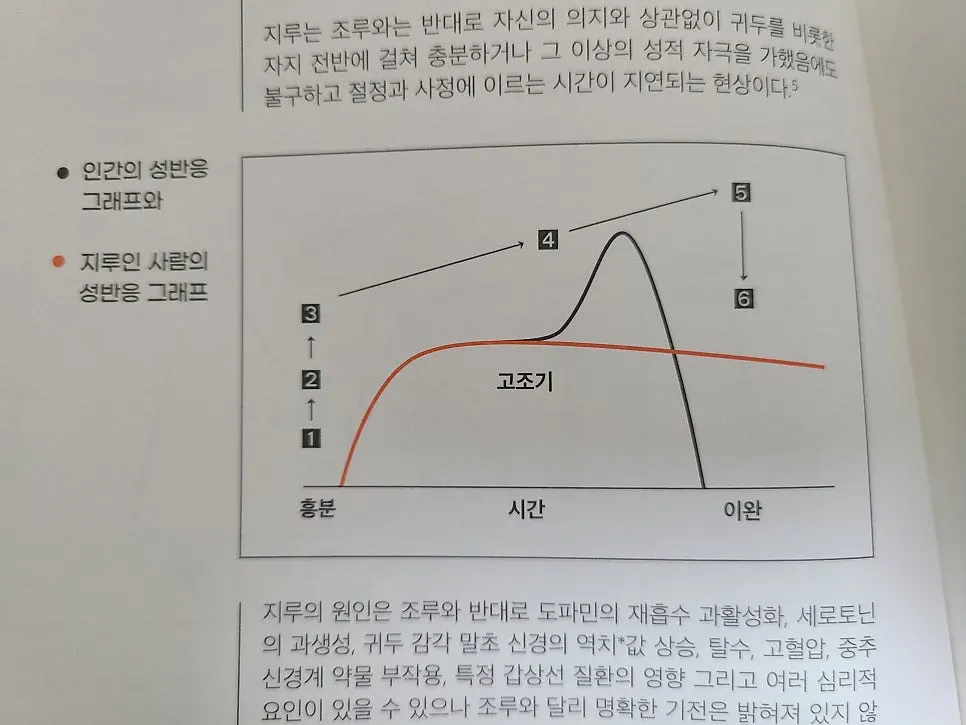 Graph comparing average people and people with premature ejaculation