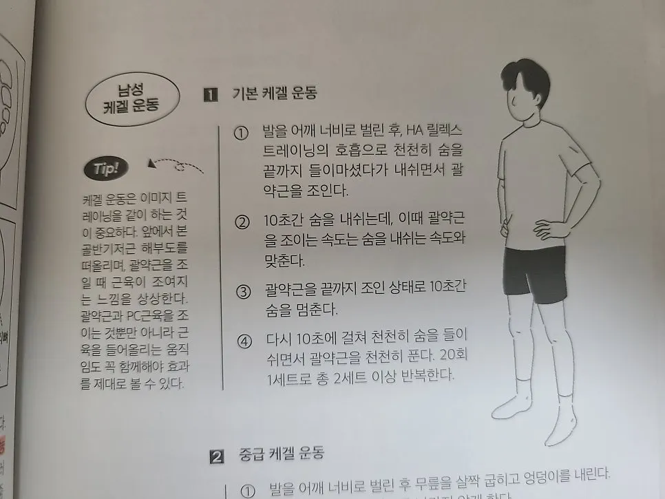 Page introducing rectus abdominis strengthening exercises