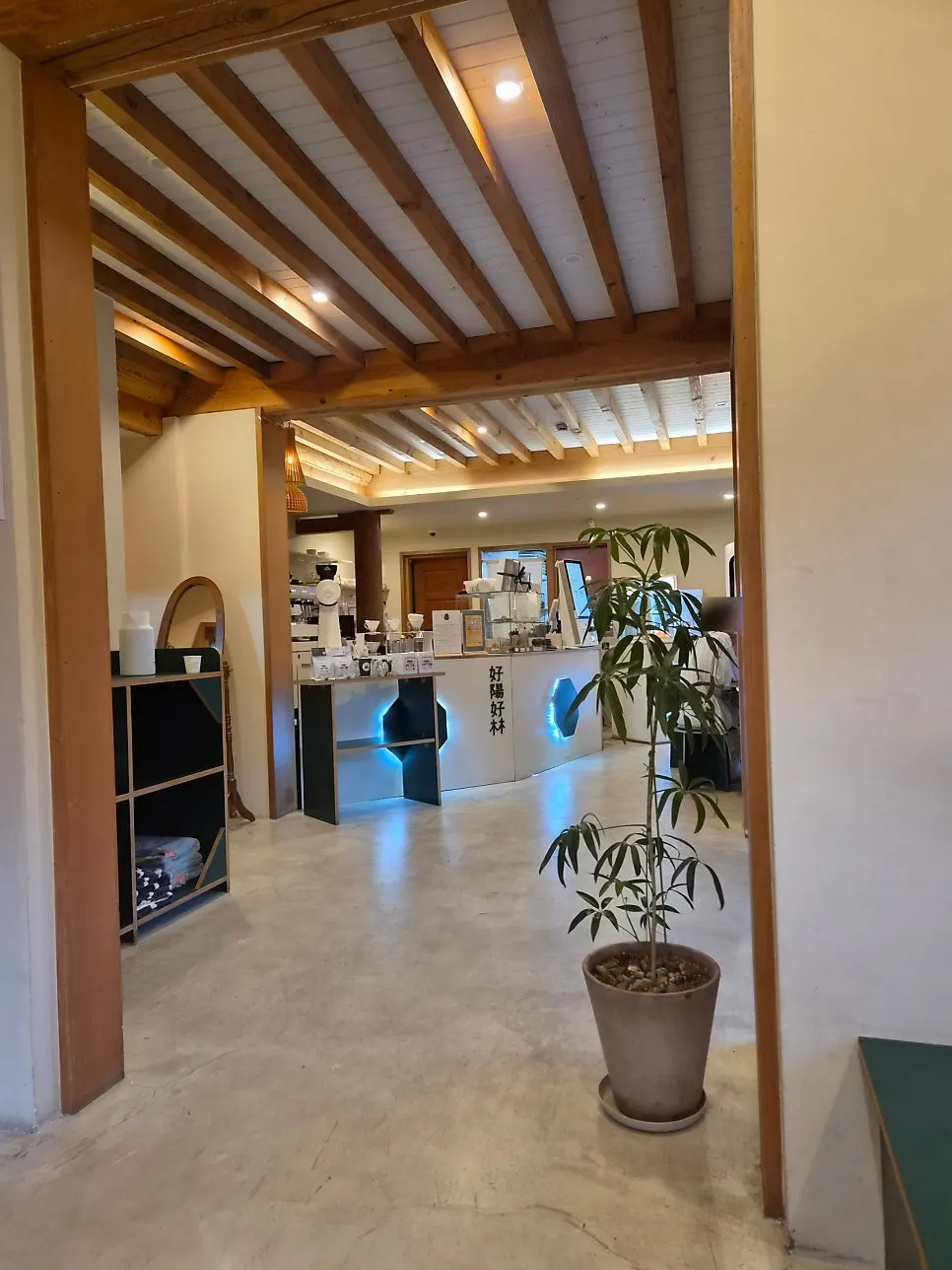 Wood-tone interior of the hanok café