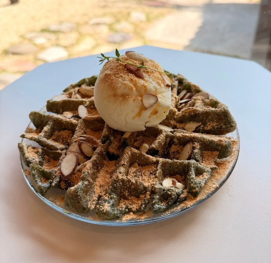 Mugwort injeolmi waffle topped with soybean powder at Hoyang Horim