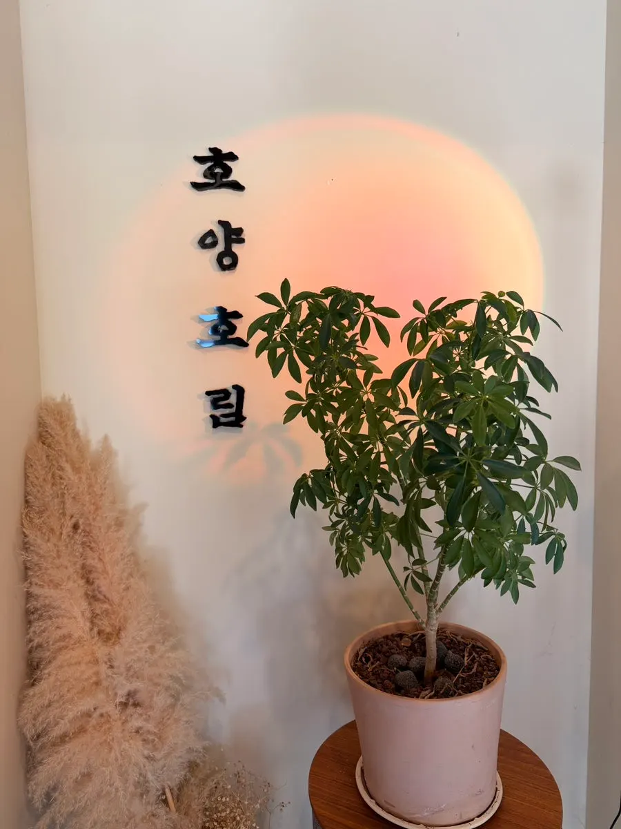 Interior and courtyard view of the Hoyang Horim hanok