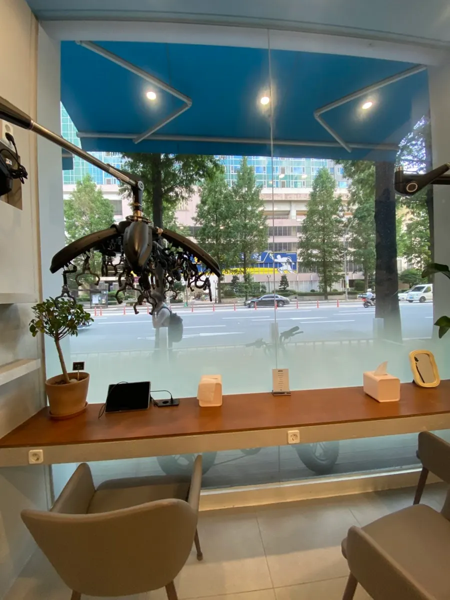 Interior of Hue Seek with wood interior and floor-to-ceiling windows