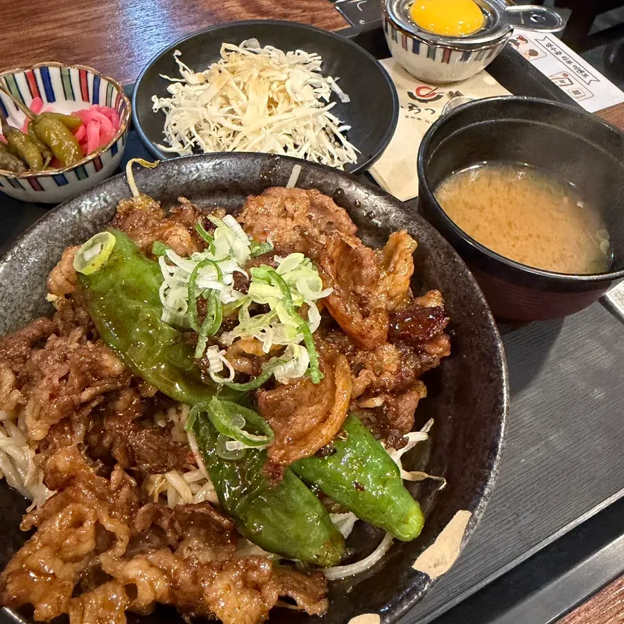 Basic set with miso soup, side salad, and egg yolk