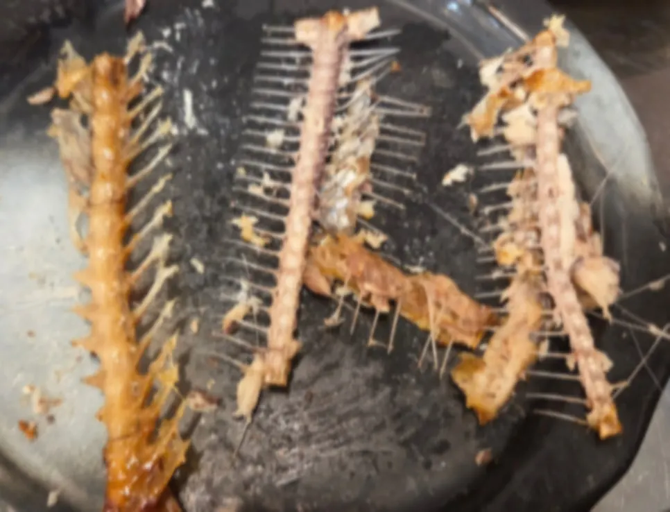 Glossy Sujanghyangmi rice hotpot